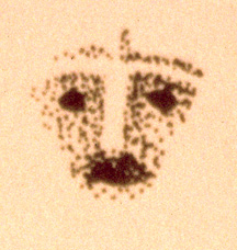 ancestor face: brow, nose, eyes